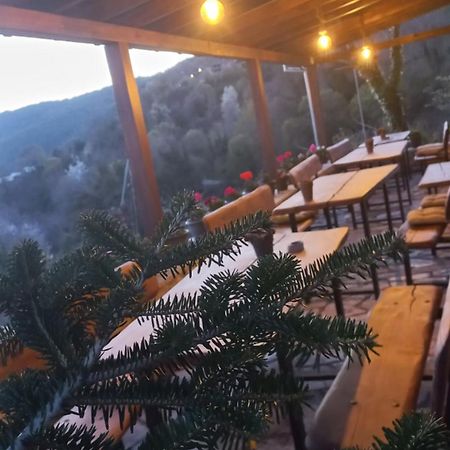 Guesthouse Selini ビッツァ エクステリア 写真