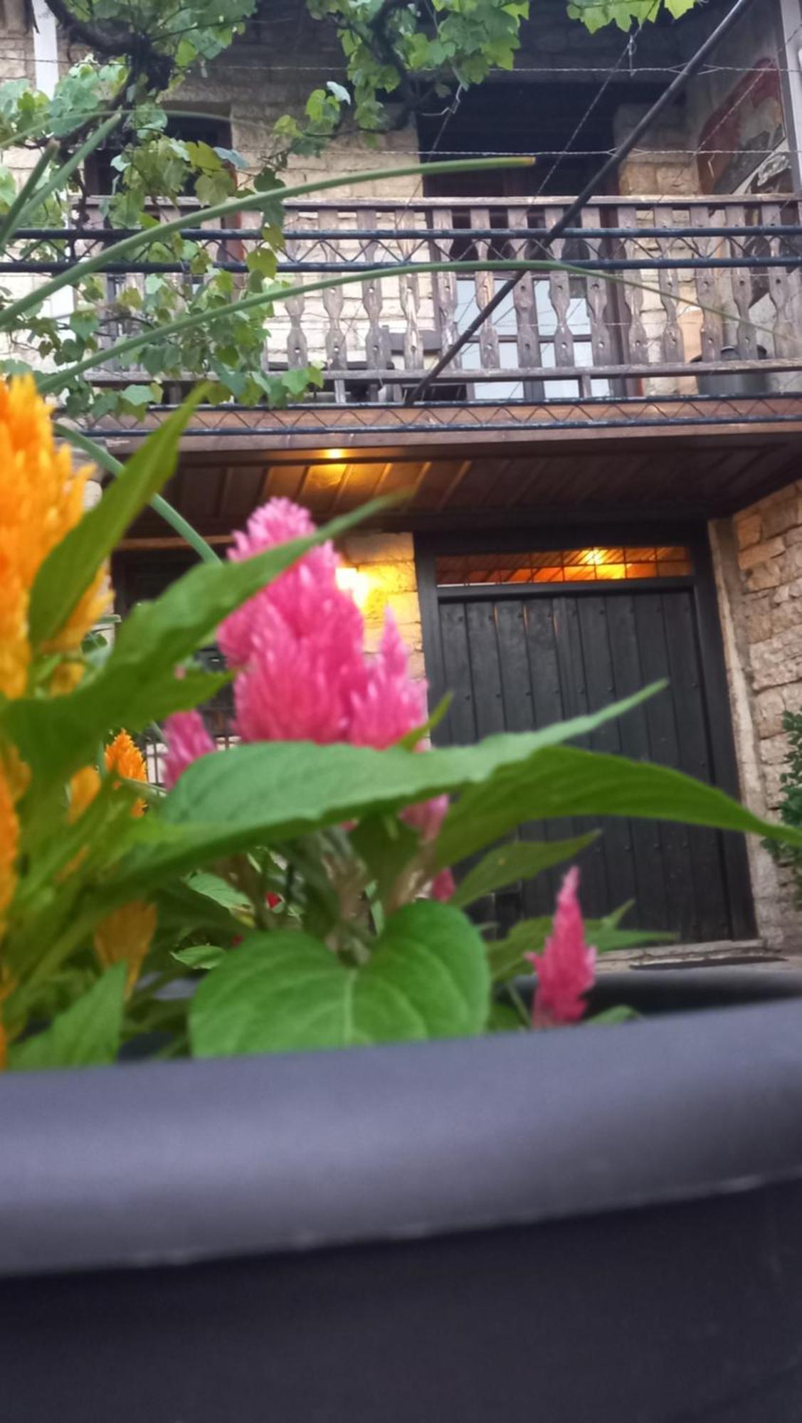 Guesthouse Selini ビッツァ エクステリア 写真
