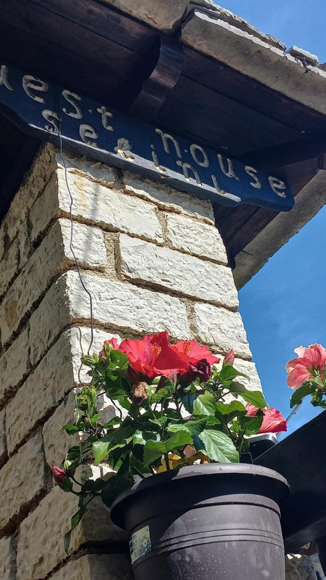 Guesthouse Selini ビッツァ エクステリア 写真