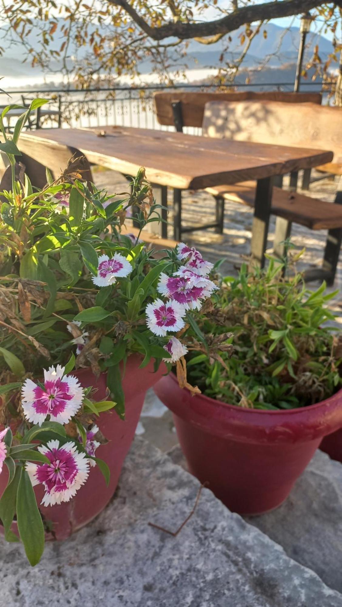 Guesthouse Selini ビッツァ エクステリア 写真